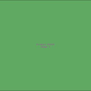 Example Product 1019