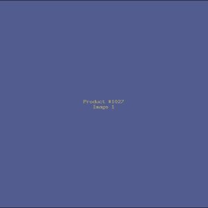 Example Product 1027