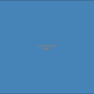 Example Product 1068