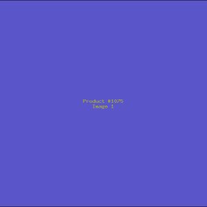 Example Product 1075