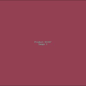 Example Product 1107