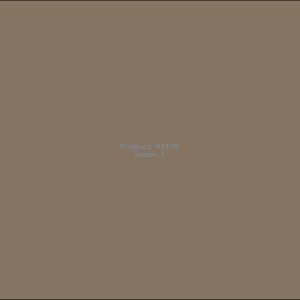 Example Product 1109