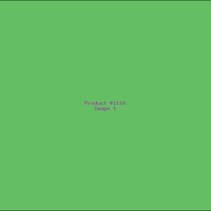 Example Product 1110