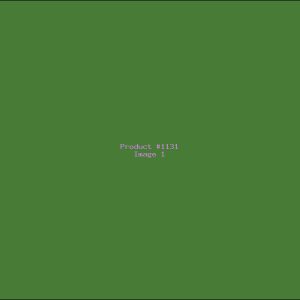 Example Product 1131