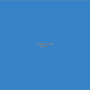 Example Product 1182