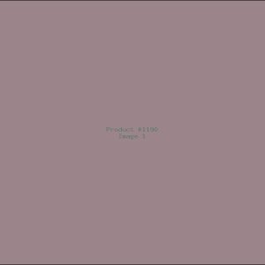 Example Product 1190