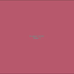 Example Product 1202