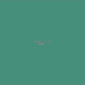 Example Product 1204