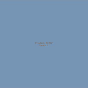 Example Product 1227