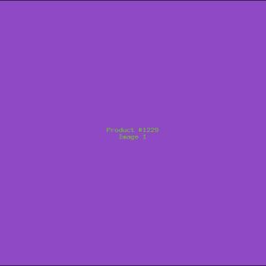 Example Product 1229