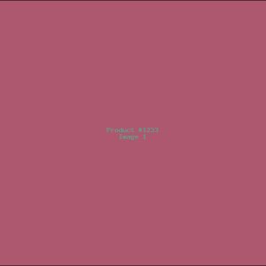 Example Product 1233