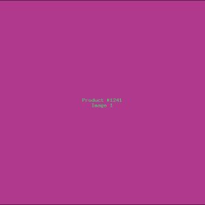 Example Product 1241