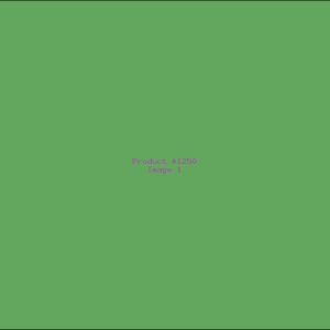 Example Product 1250