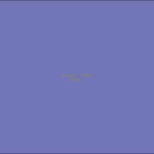 Example Product 1255