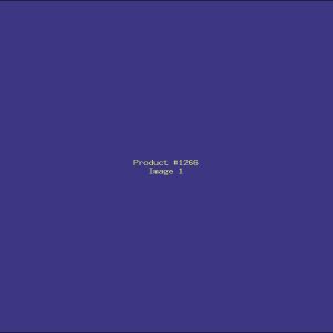 Example Product 1266