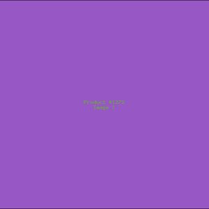 Example Product 1272