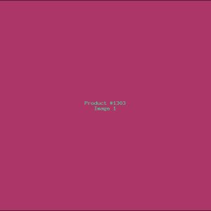 Example Product 1303