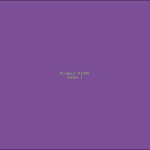 Example Product 1309