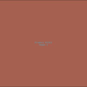 Example Product 1313