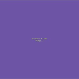 Example Product 1338