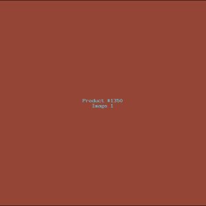 Example Product 1350