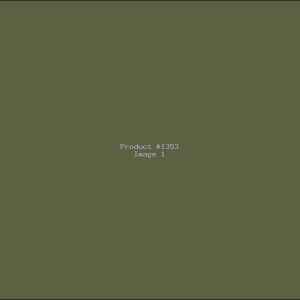 Example Product 1353