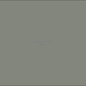 Example Product 1369