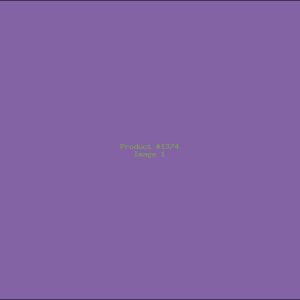 Example Product 1374