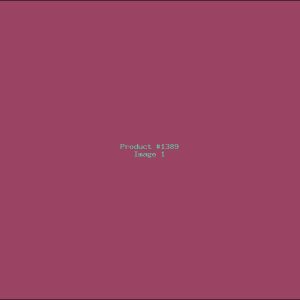 Example Product 1389