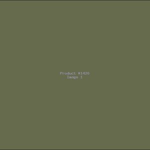 Example Product 1420