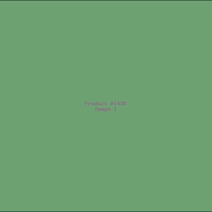 Example Product 1438