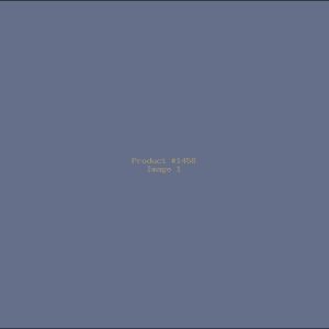 Example Product 1458