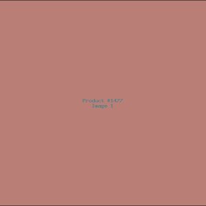 Example Product 1477