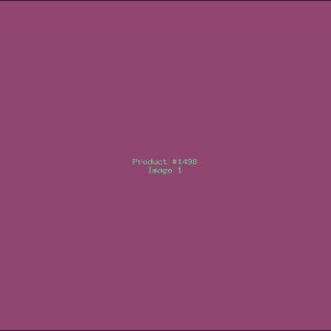 Example Product 1498