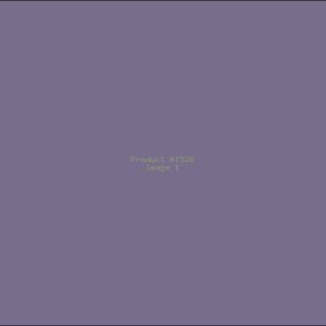 Example Product 1528