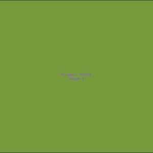 Example Product 1541