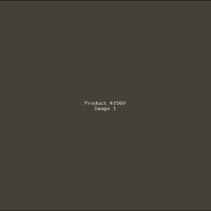 Example Product 1560