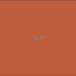 Example Product 1569