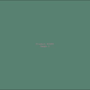 Example Product 1589