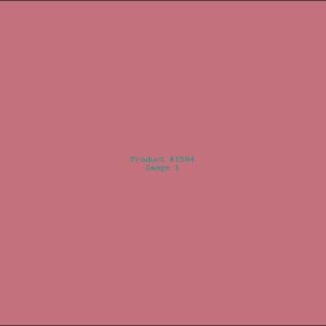 Example Product 1594