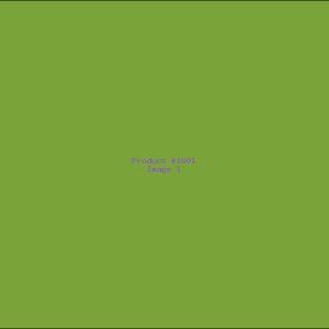 Example Product 1601