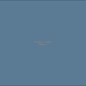 Example Product 1603