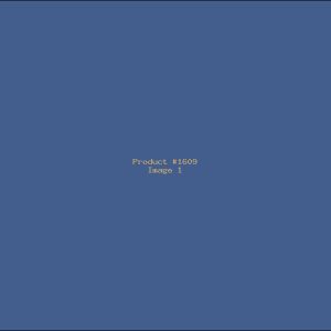 Example Product 1609