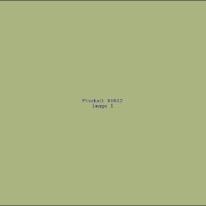 Example Product 1612