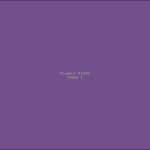 Example Product 1620