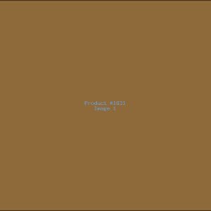 Example Product 1631