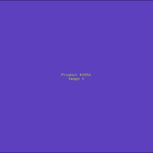 Example Product 1651