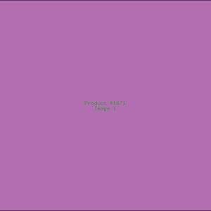 Example Product 1671