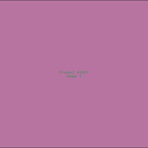 Example Product 1672