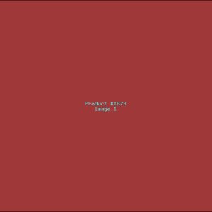 Example Product 1673